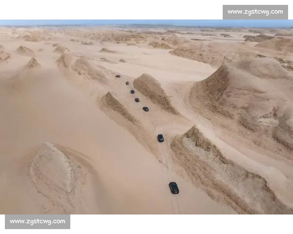 阳光沙海燃动青岛:世界沙排巡回赛演绎肌肉线条与海浪的交响