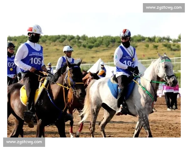 巅峰对决！国内顶级马术赛在邯郸激情开赛